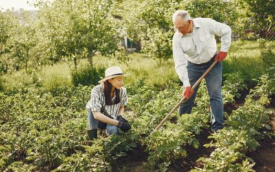 Créer et organiser un potager partagé en copropriété